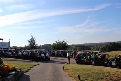 carts (4)